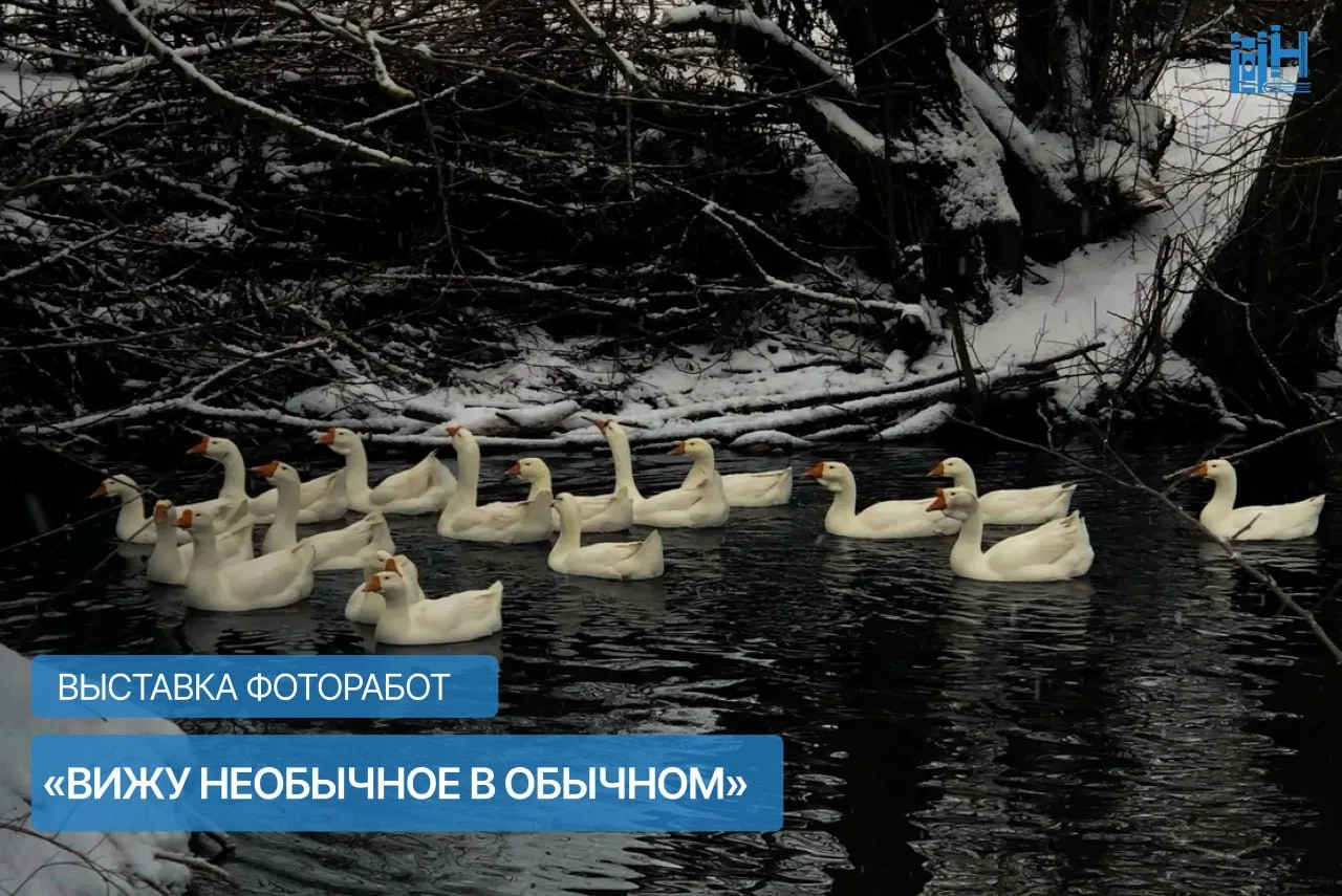 Выставка фоторабот «Вижу необычное в обычном»

⏰До 15 сентября; пн-чт с 09:00 до 20:00; сб и вс с 12