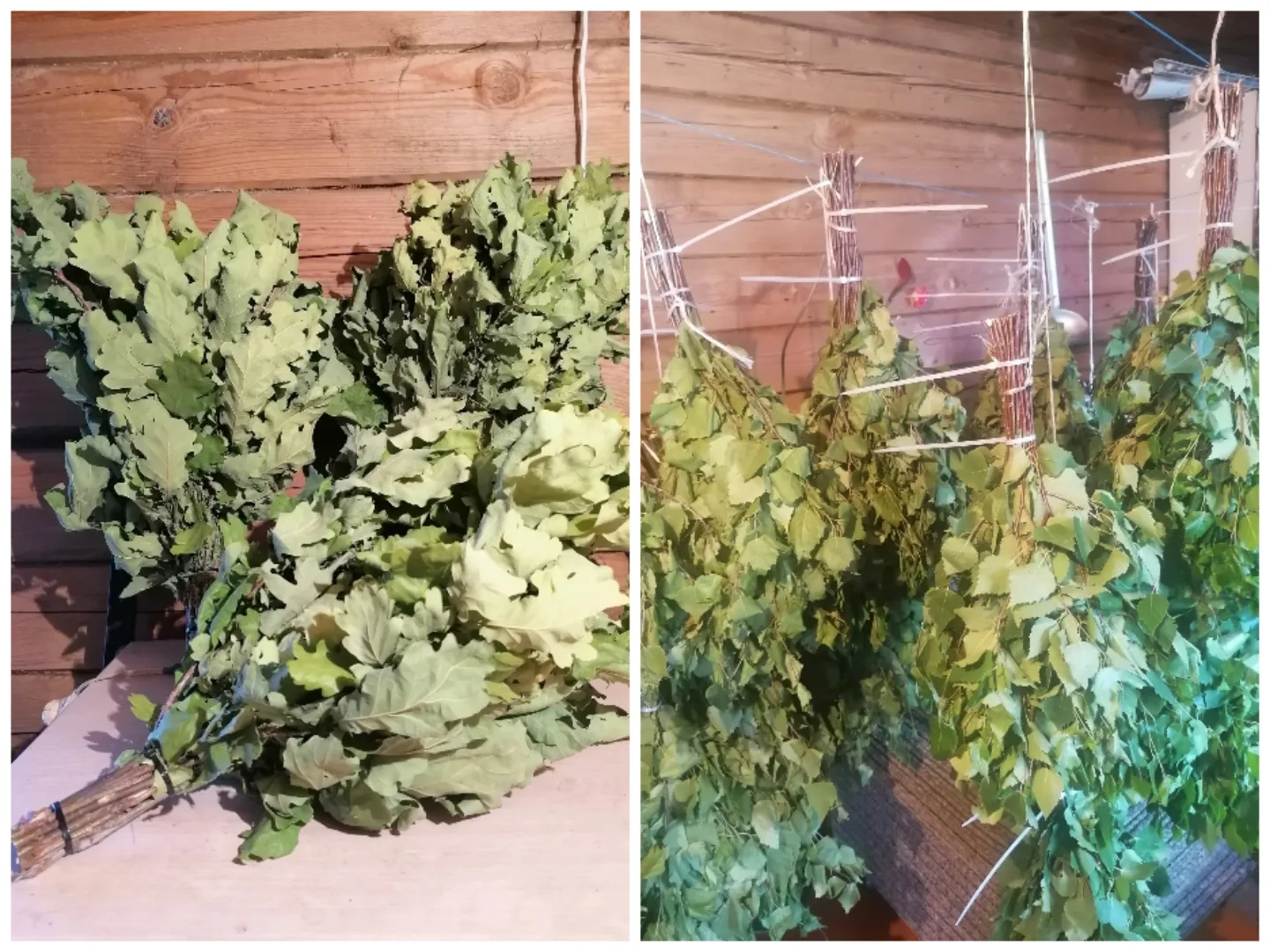 Продам веники банные дубовые 300р,берёзовые и липовые 250р. Шарлык 89878447331

Автор: Александр