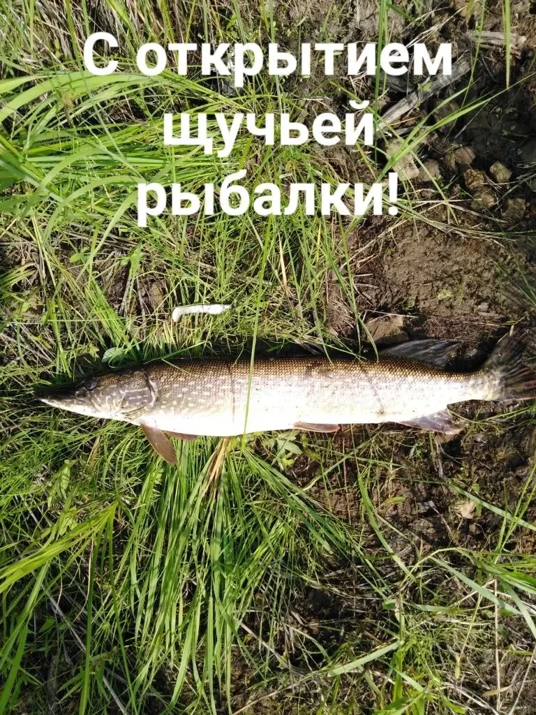 Утро доброе!