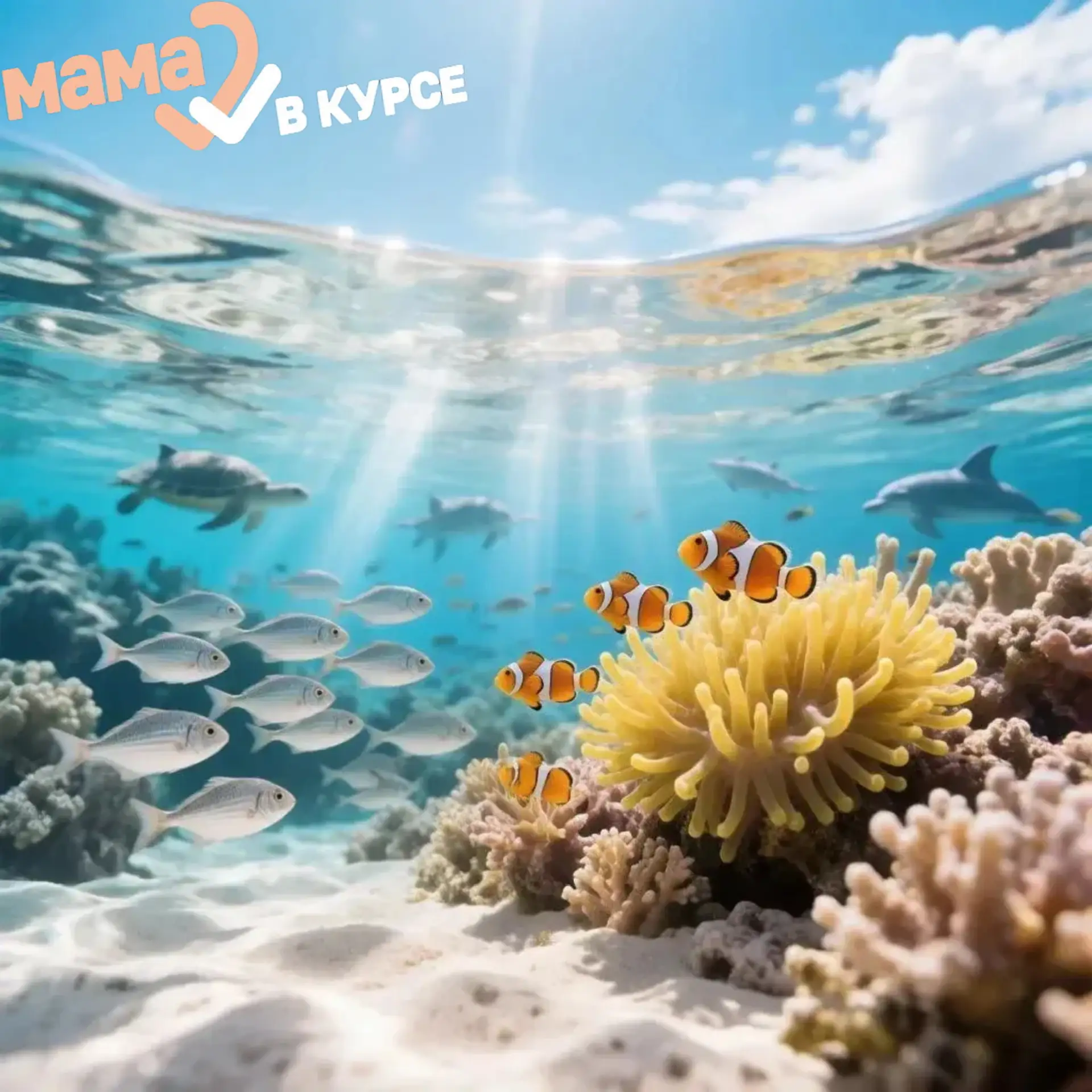 🌊 Океан — это не просто вода. Это жизнь 🌍
🗓️ Сегодня, 8 июня, мы отмечаем Всемирный день океанов.