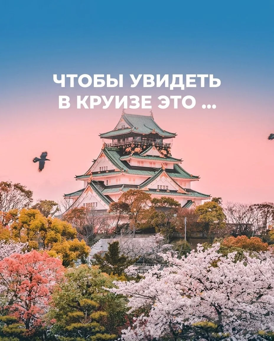 😍 С круизами по Японии все понятно, они прекрасны! Теперь нужно определиться с лайнером

По Японии 
