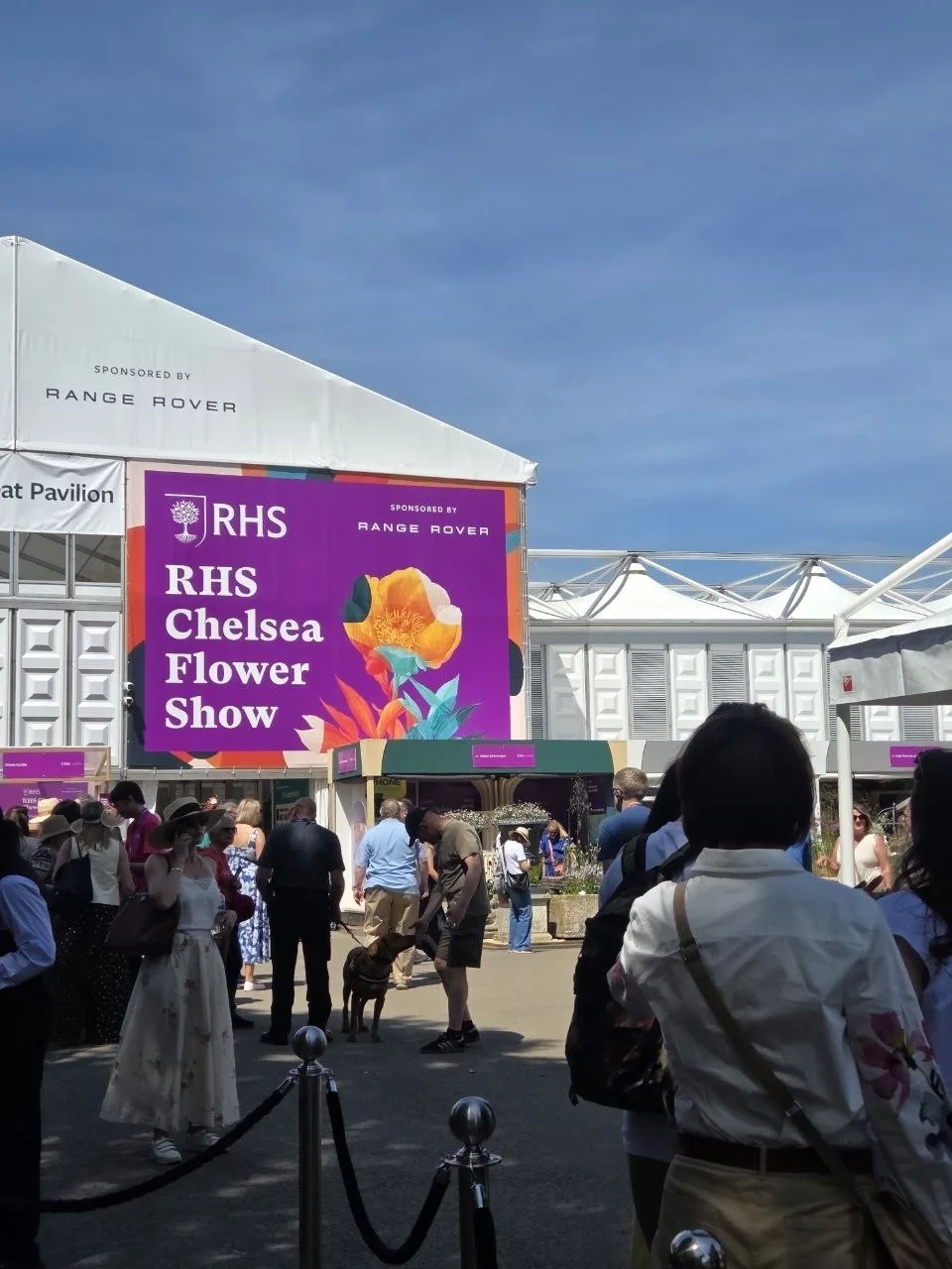 Если Париж — это Неделя моды, то Лондон в мае — это Chelsea Flower Show. 🌸

С 1912 года сады у Коро