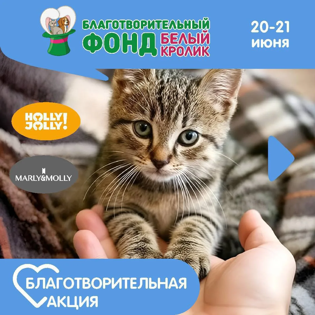 20 и 21 июня фонд «Белый кролик» проведёт Благотворительную акцию в поддержку бездомных животных во 