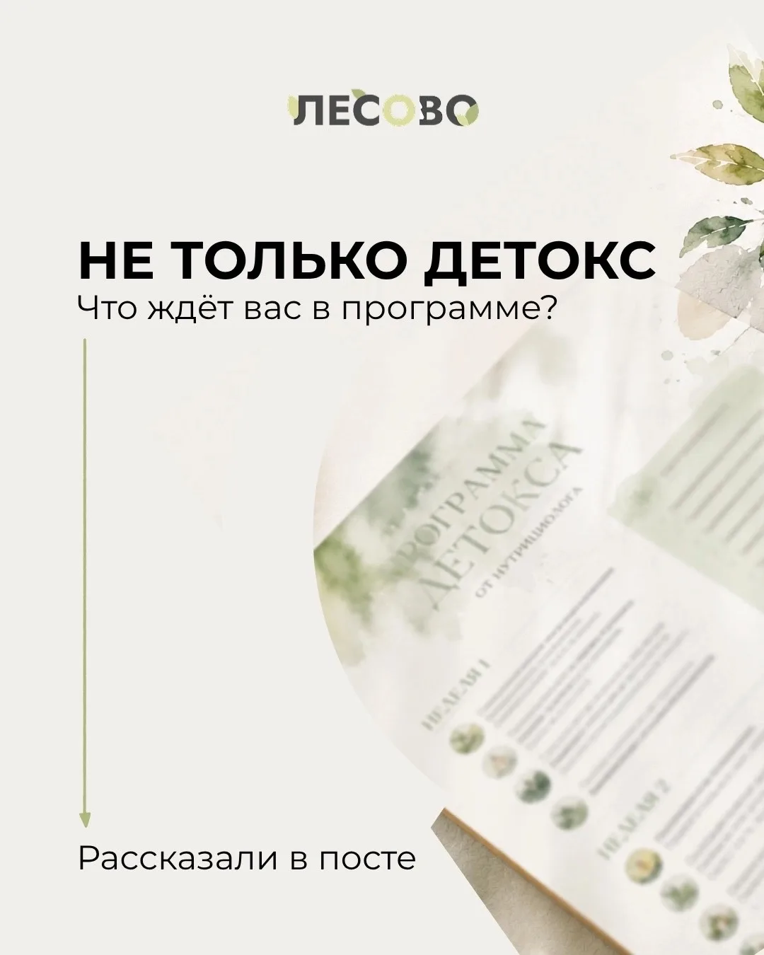 Что будет в программе с нутрициологом?

Программа рассчитана на 7 дней активного сопровождения. В эт