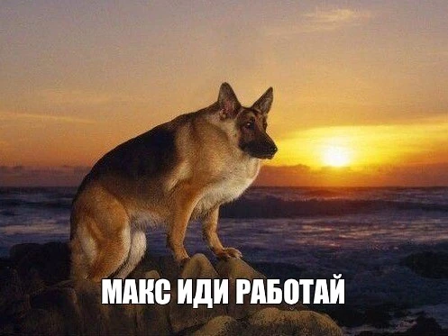 Самозанятые теперь могут создать открытые каналы

Спойлер: пока не у всех получилось, официального а