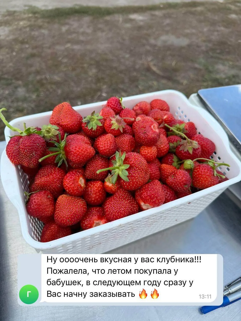 В пятницу (19.06) открываем самосбор клубники 🍓

Только на один день — многие спрашивали, и мы реши