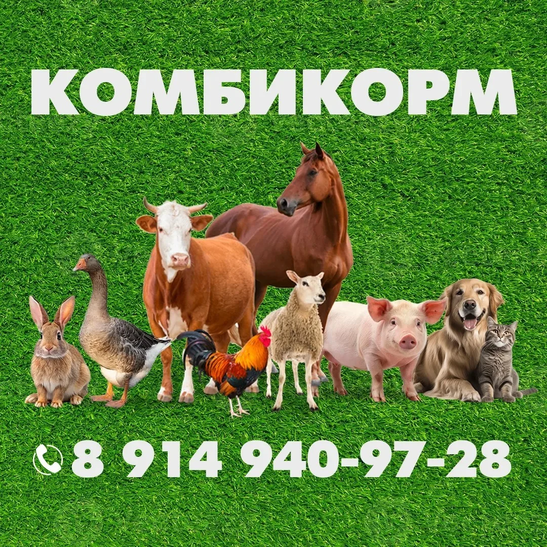 Ваше хозяйство будет довольно! 🐥🐄🐖

Сложно перечислить всё разнообразие нашего ассортимента, но б