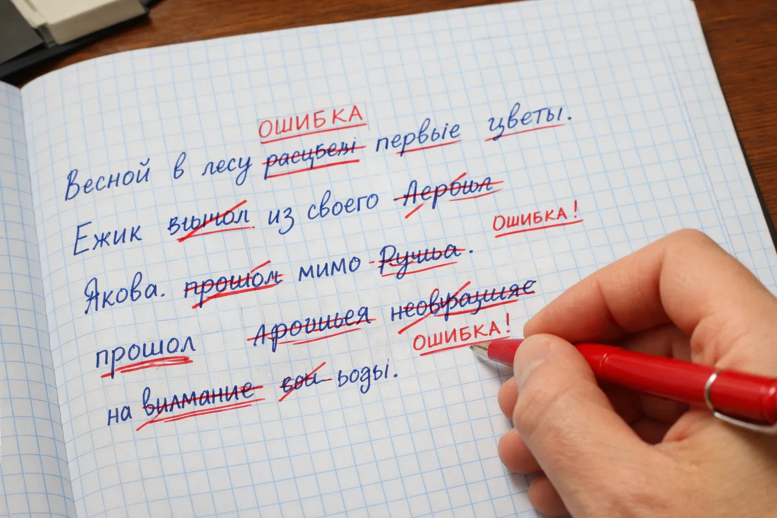 Родители, быстрый тест 👇
(займет 5 секунд, но покажет проблему)
Где ваш ребенок теряет баллы по рус