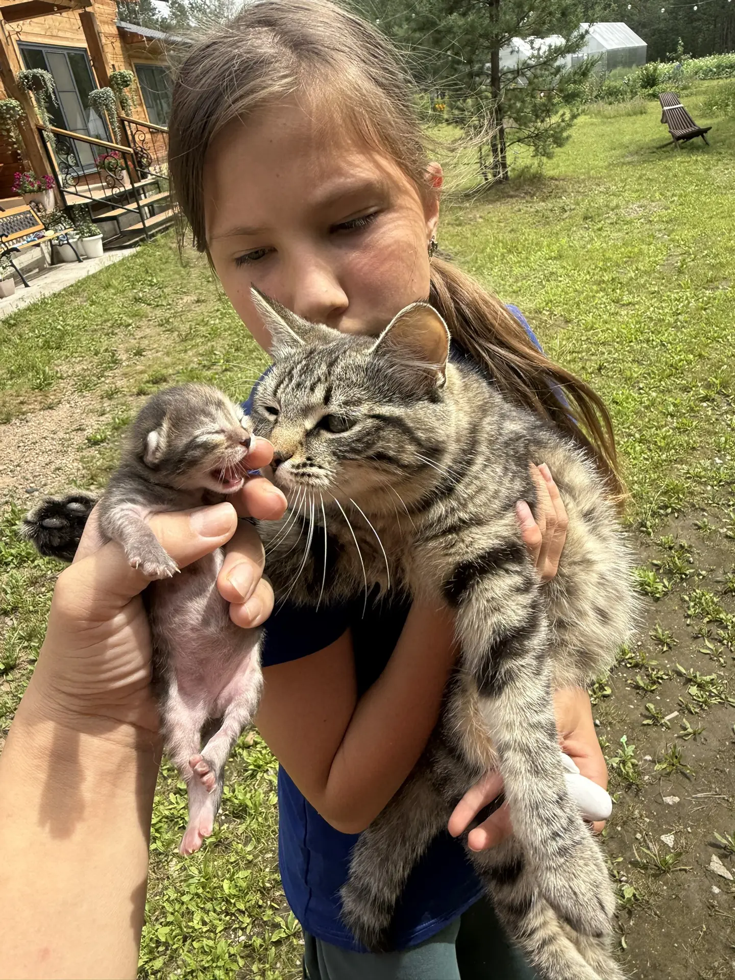 Ничего милее вы сегодня не увидите 🥰 

Взяли котенка в руки, рассмотреть, а Ирка писк услышала, сра