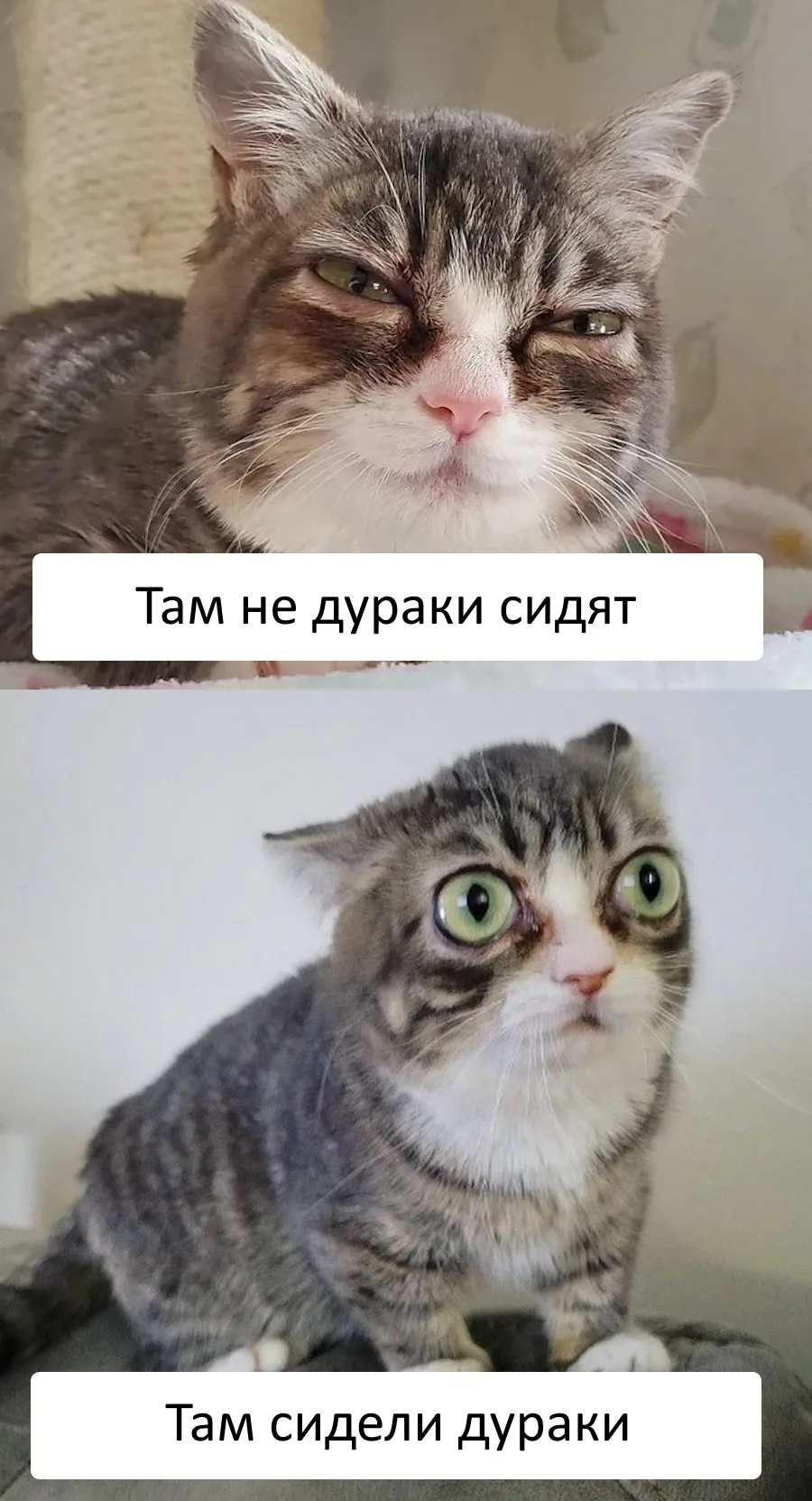Ясно-понятно

Понятное объяснение в большинстве проблем.
Картинка не отпускает меня уже вторую недел