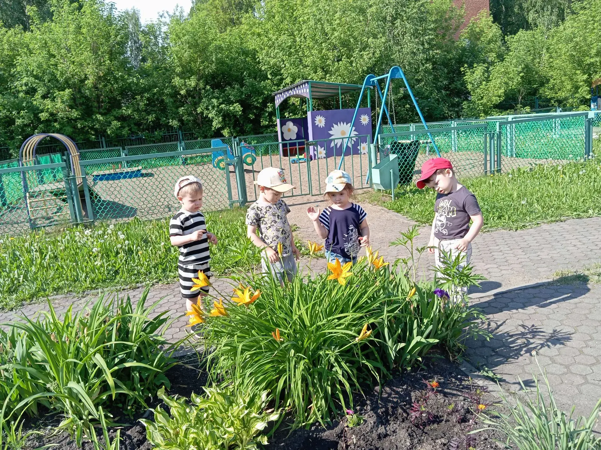 Дети вышли погулять,
За природой наблюдать:
Вот деревья и кусты,
Вот красивые цветы,
Вот букашки вып