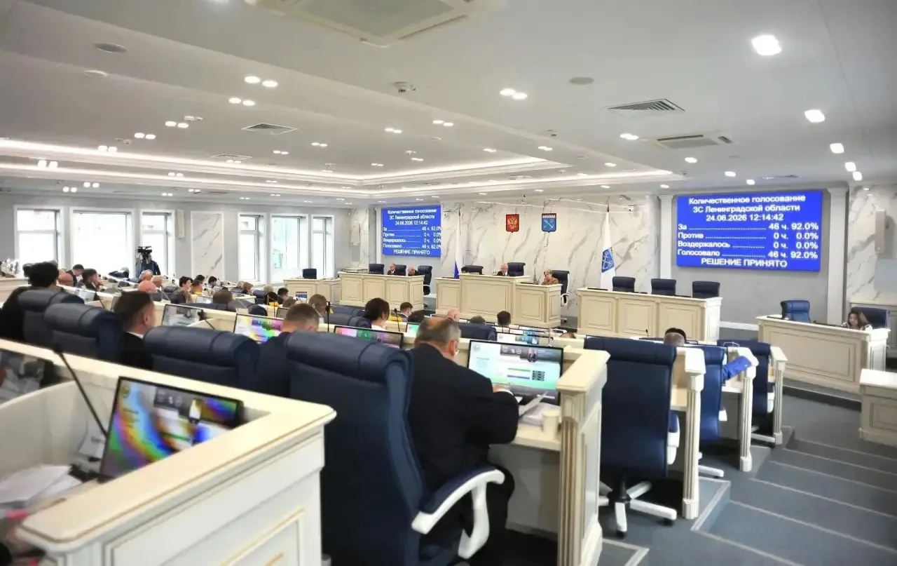 Льготные тарифы на электроэнергию в Ленобласти продлены до конца 2026 года

Депутаты Законодательног