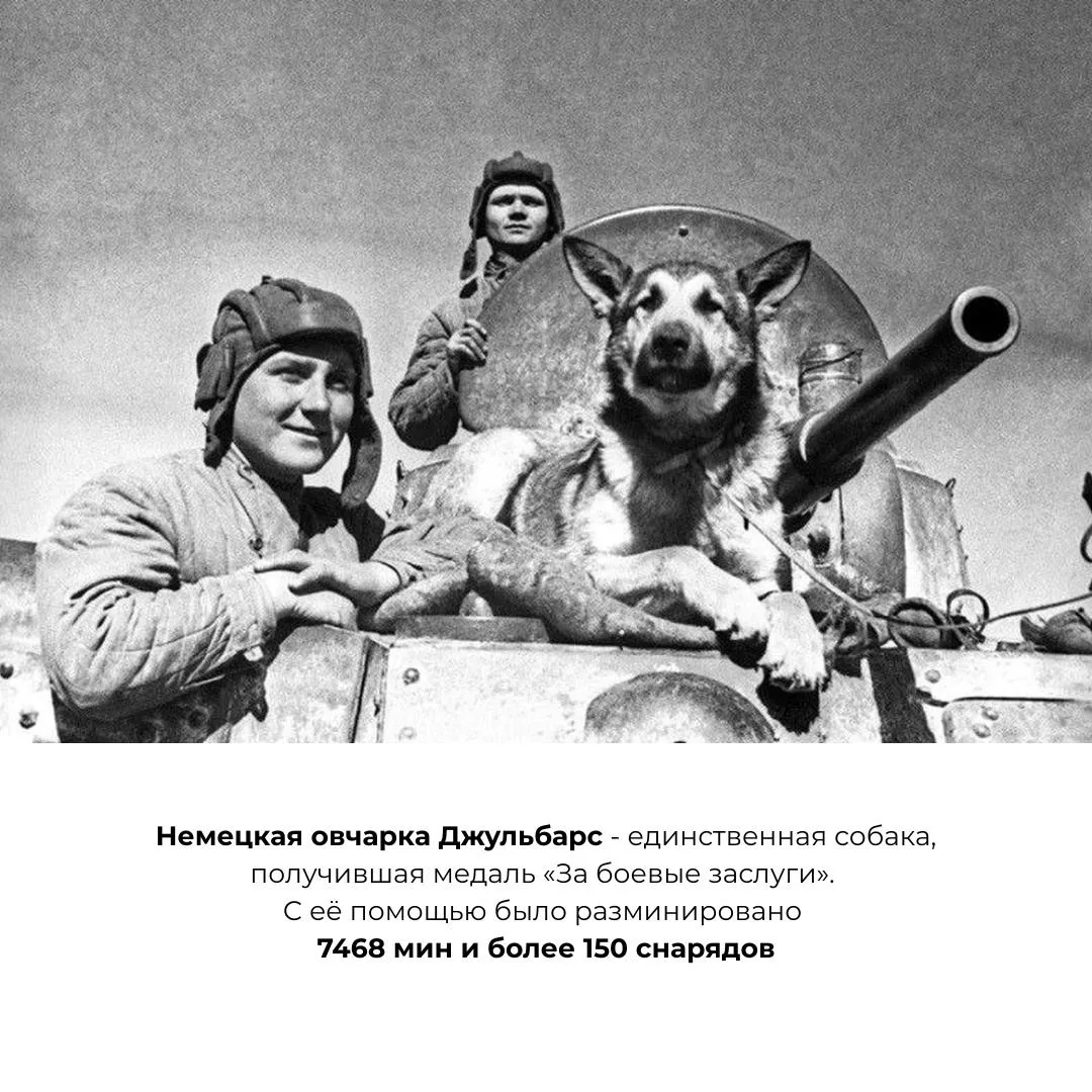🎖️ С ДНЁМ ПОБЕДЫ! С 9 МАЯ!
Этот день про память, подвиг и благодарность.

И сегодня хотим вспомнить