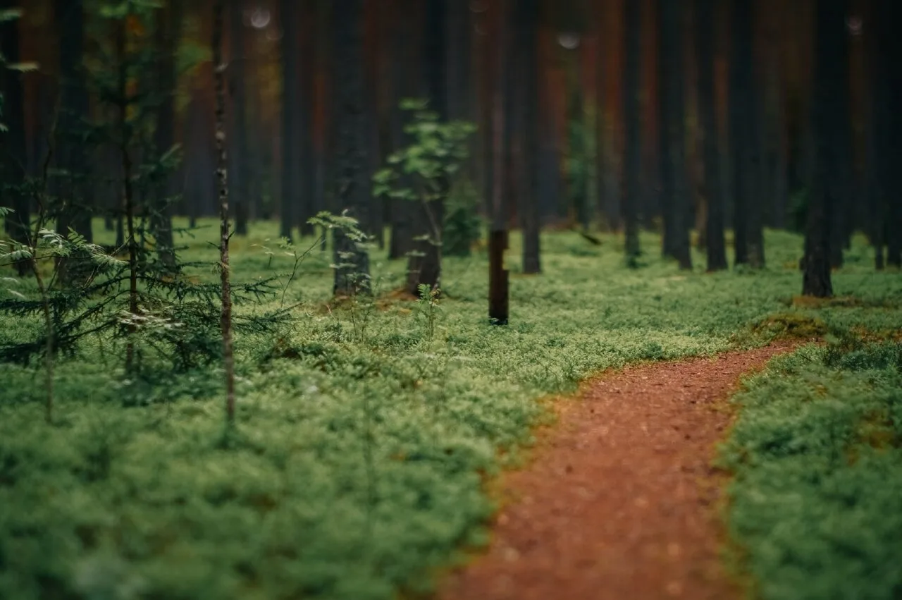 Кapельcкий пeрешeeк
~Путешествия landscape~

🍿Природа и Путешествия  - Подписаться