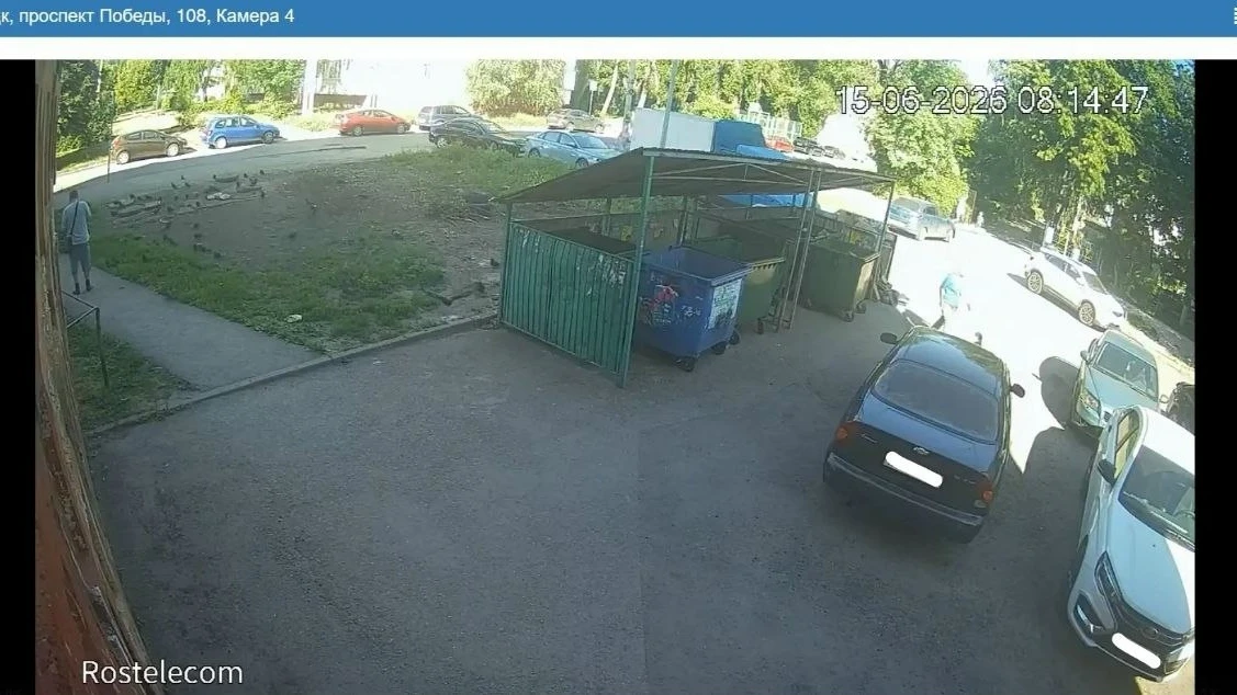 🚛 В Липецке мусоровозам снова мешают припаркованные машины

В городе продолжают фиксировать автомоб