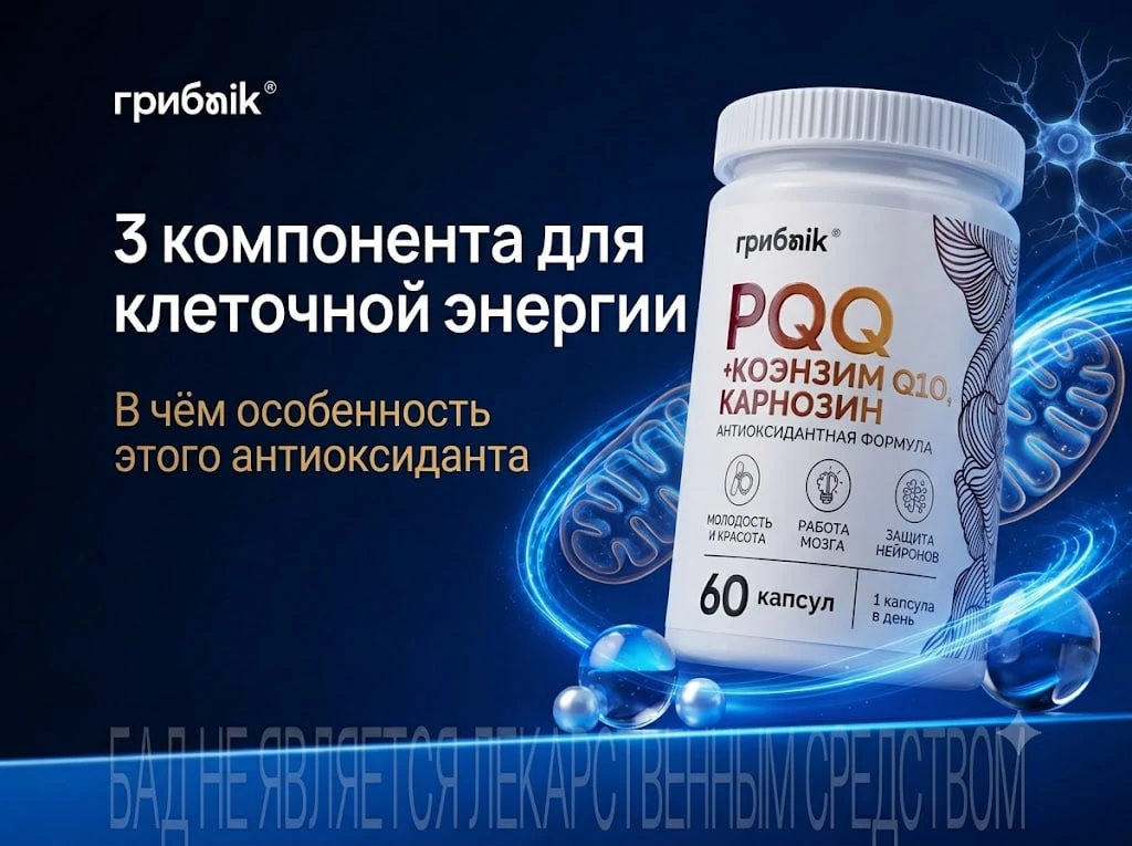 Самая недооценённая добавка для мозга

Если кофе и обычные витамины перестали давать энергию, есть д