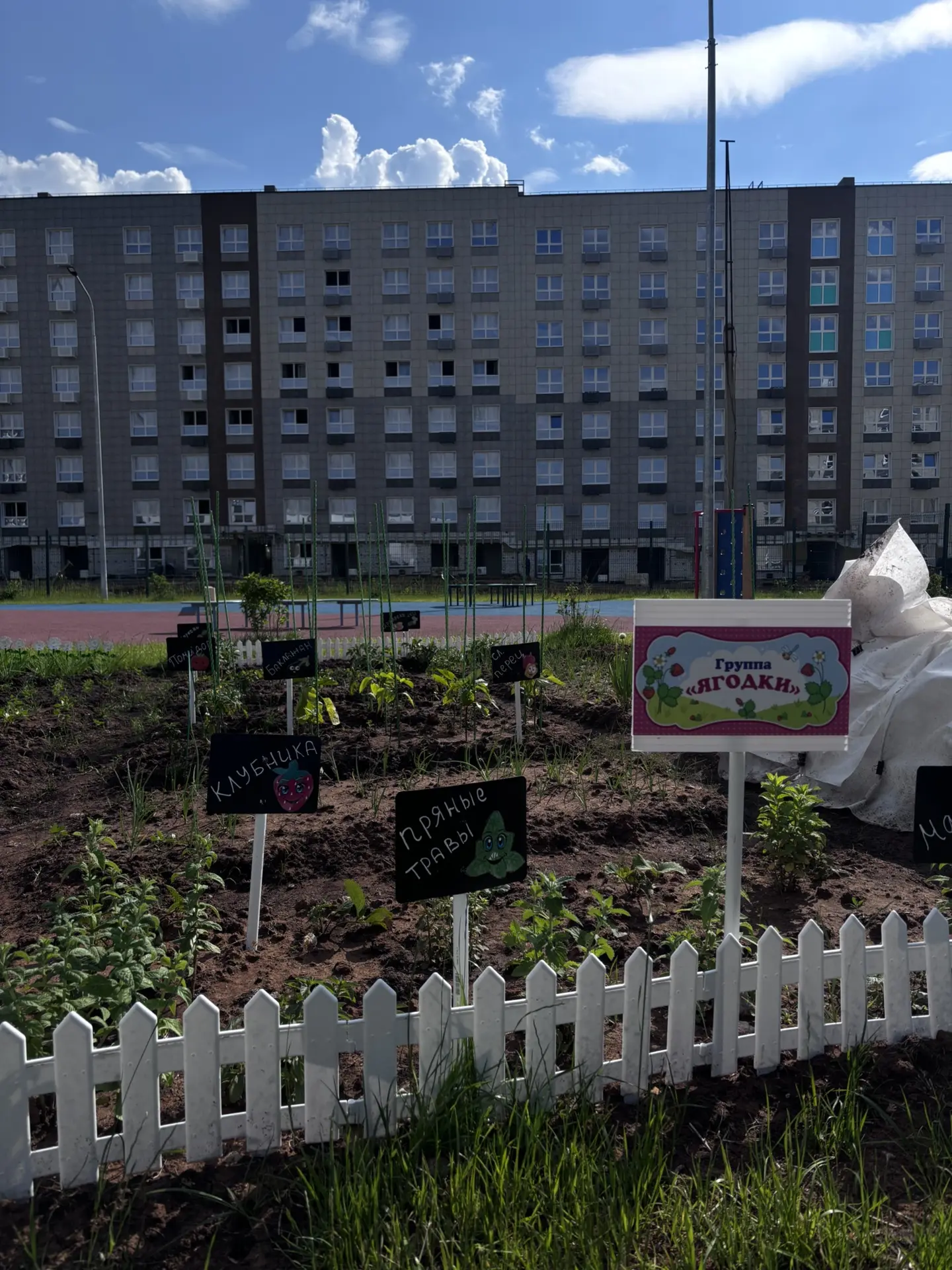 Чудеса на грядке: как наш огород превратился в учебную лабораторию 🌱

Знаете ли вы, что обычный ого