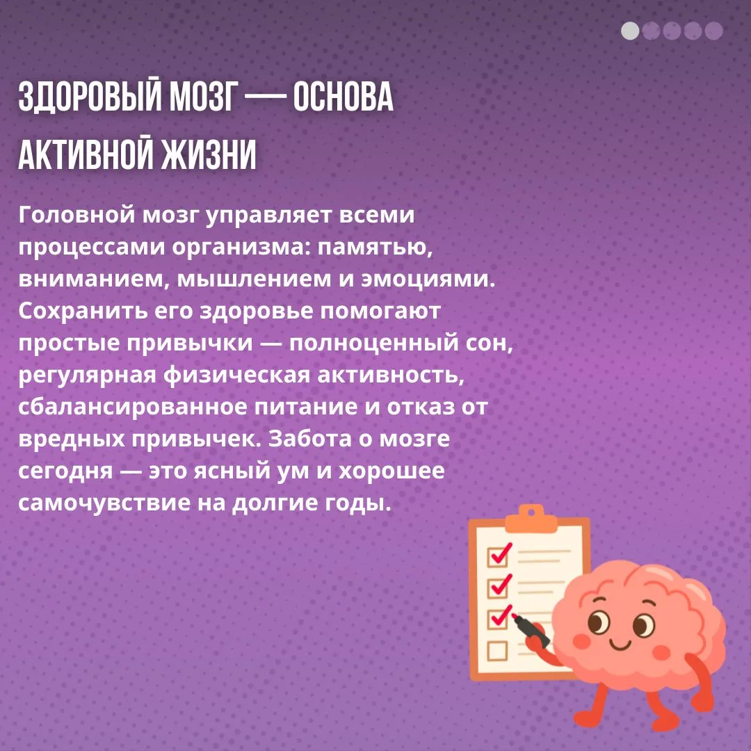✔️Здоровый мозг — основа активной жизни