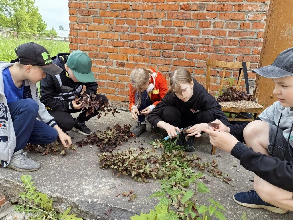 🥦🫜Агролагерь. Присоединяйтесь❗

Ребята проводят время с пользой: ближе знакомятся с природой, изуч