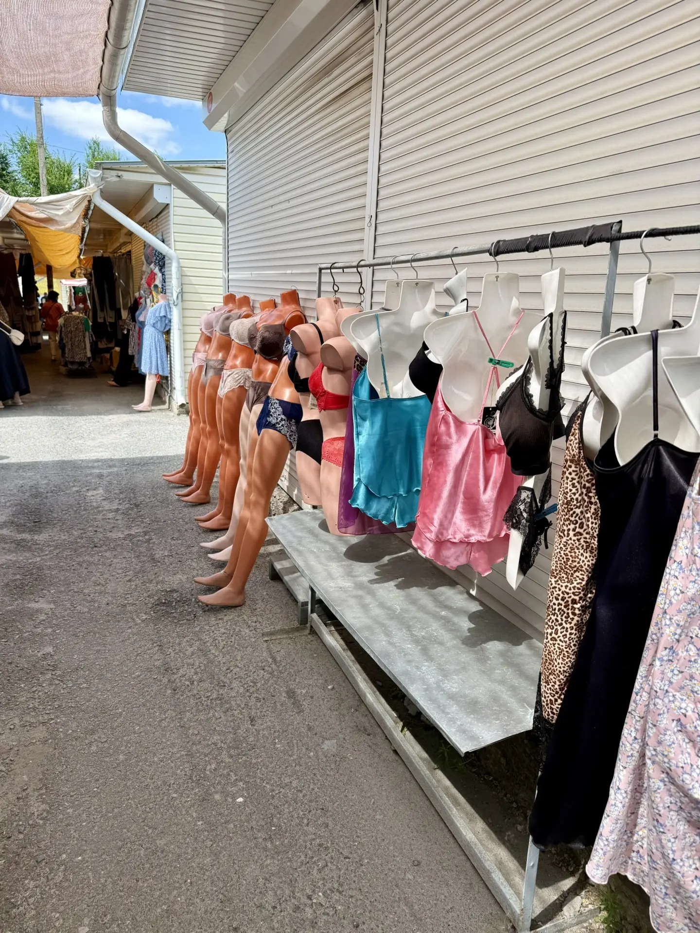 👙 Нижнее бельё в павильоне 142 — большой выбор!

Друзья, в павильоне 142 огромный ассортимент женск