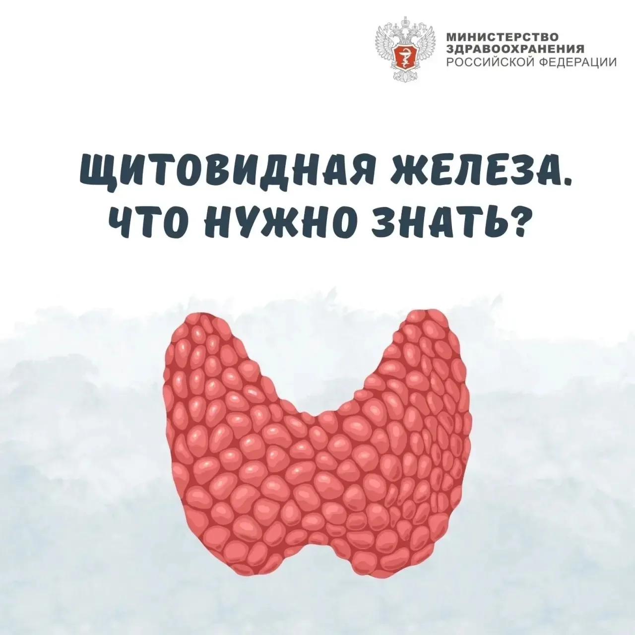 🗓С 18 по 24 мая 2026 г. проходит Неделя профилактики заболеваний эндокринной системы (в честь Всеми