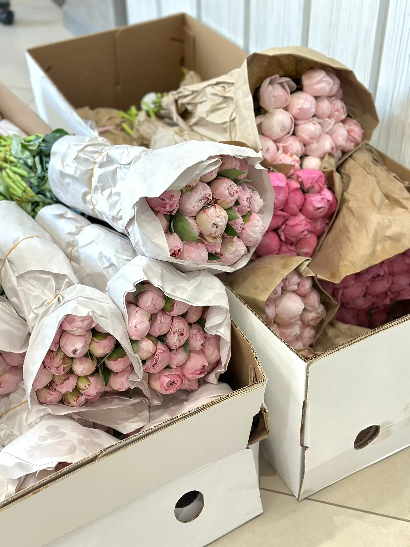 🌸 ПИОНОВЫЙ БУМ В FLOMIX 🌸

К нам приехало более 900 пионов, и мы просто не можем оставить это собы