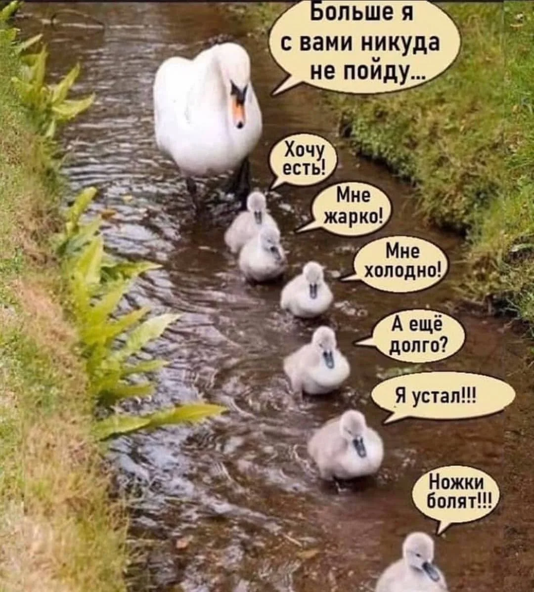 😂 Только мамы, у которых есть несколько детей, смогут понять эту боль