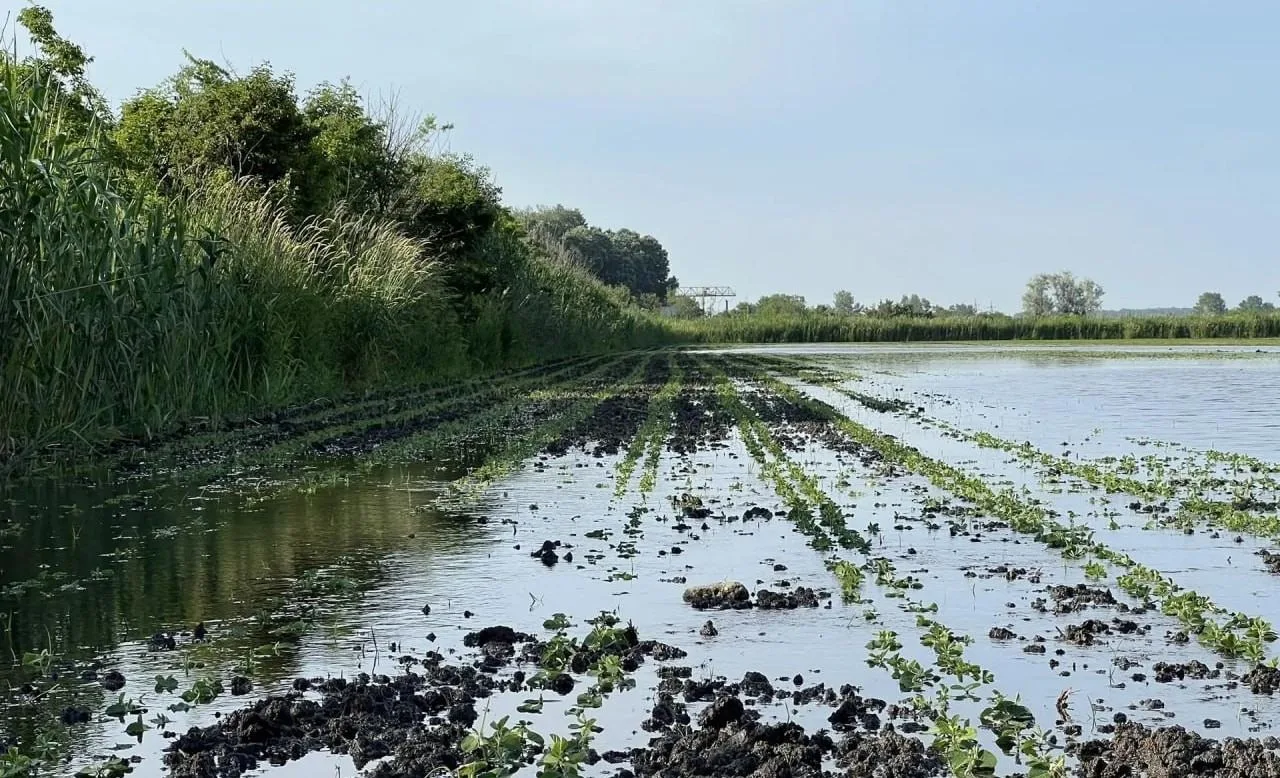 Доброе утро, дорогие!

Я немного пропала из блога. Краснодар за последние дни прилично затопило.

Да