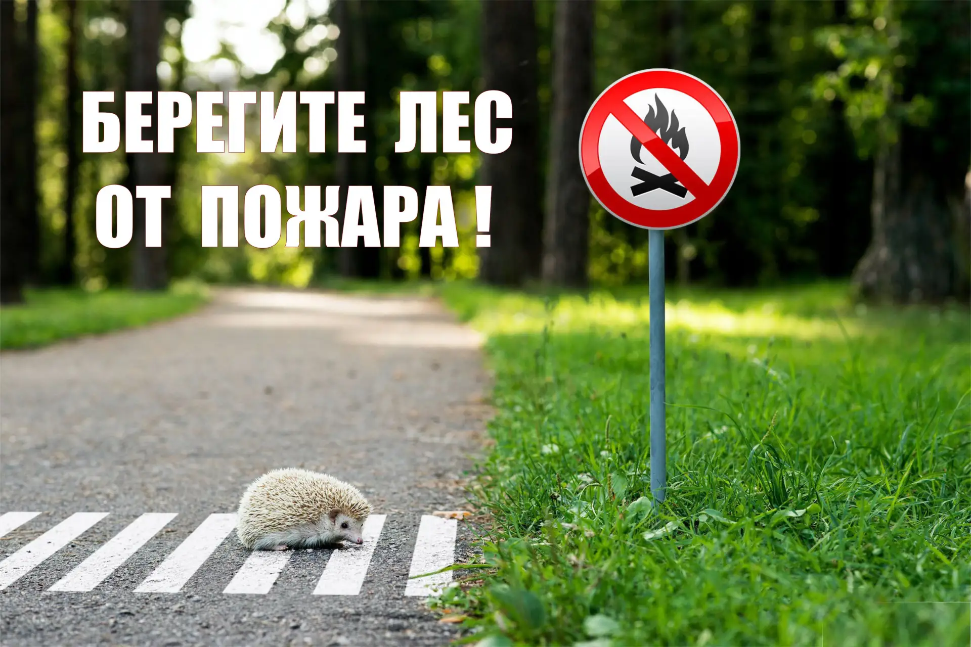 В период особого противопожарного режима в Иркутске и Иркутской области строго запрещаются любые дей