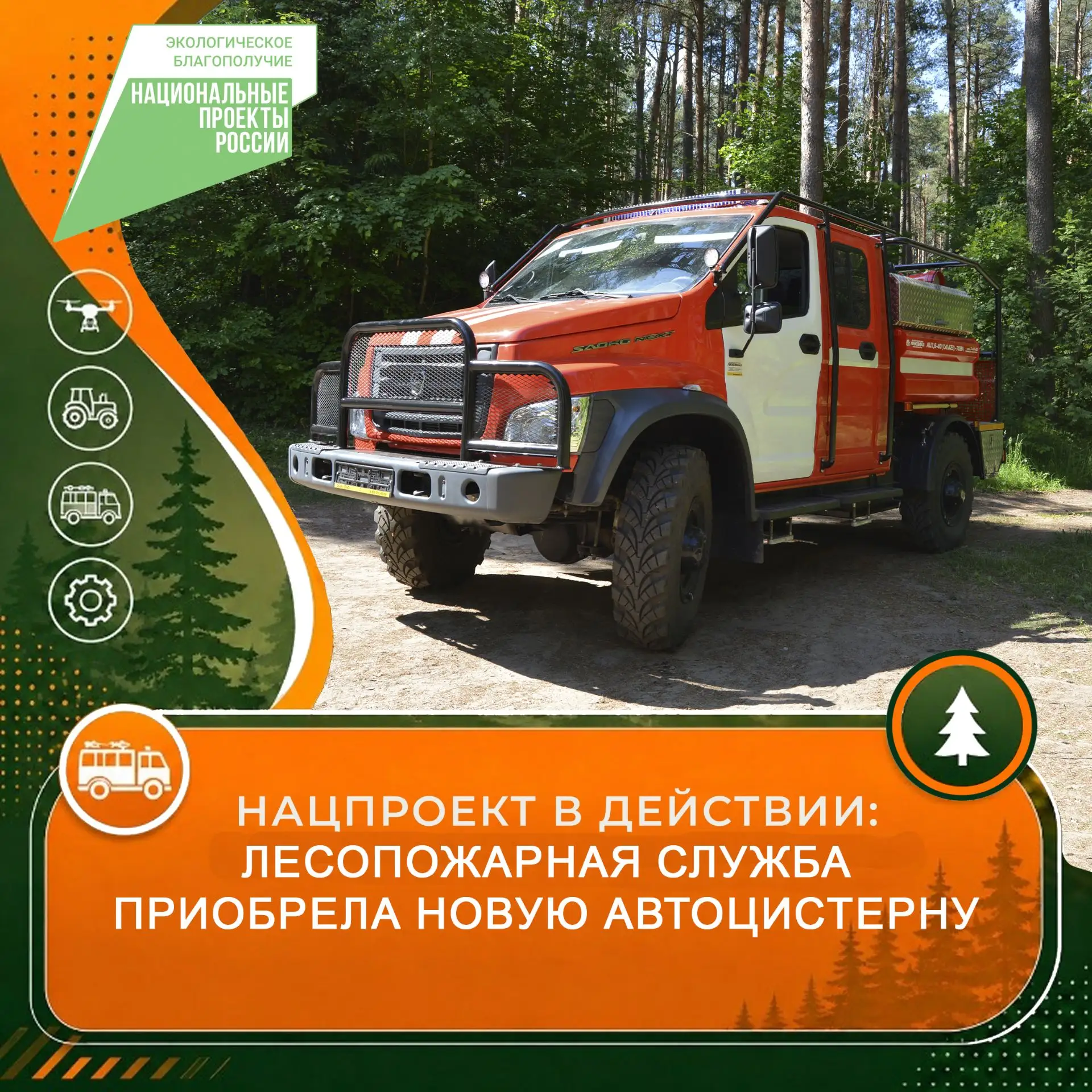 В рамках реализации федерального проекта «Сохранение лесов» национального проекта «Экологическое бла
