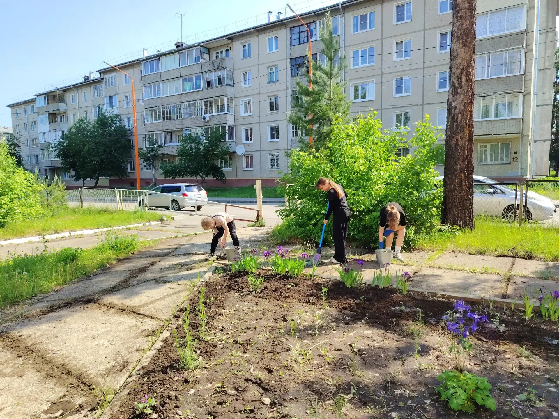 СОШ №5 — участник проекта «Добрые дела»: вместе благоустраиваем территорию 🌱🏫

Наша школа присоеди