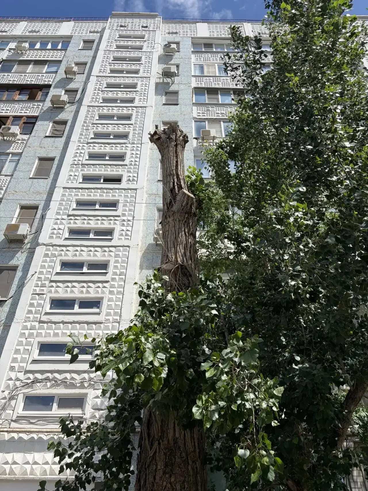 🌳✅ 
Сегодня на ул. Ген. Епишева, д.16 силами ООО «Жилкомсервис» с привлечением сторонней организаци