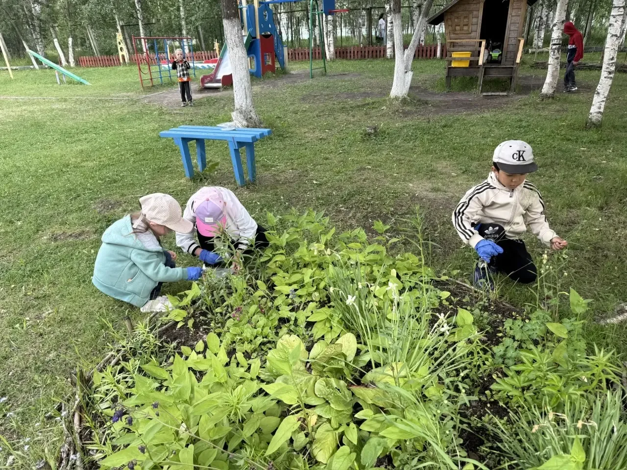Трудовой десант на клумбе🌱

Цветы — это радость, но сорная трава, увы, растёт гораздо быстрее них. 