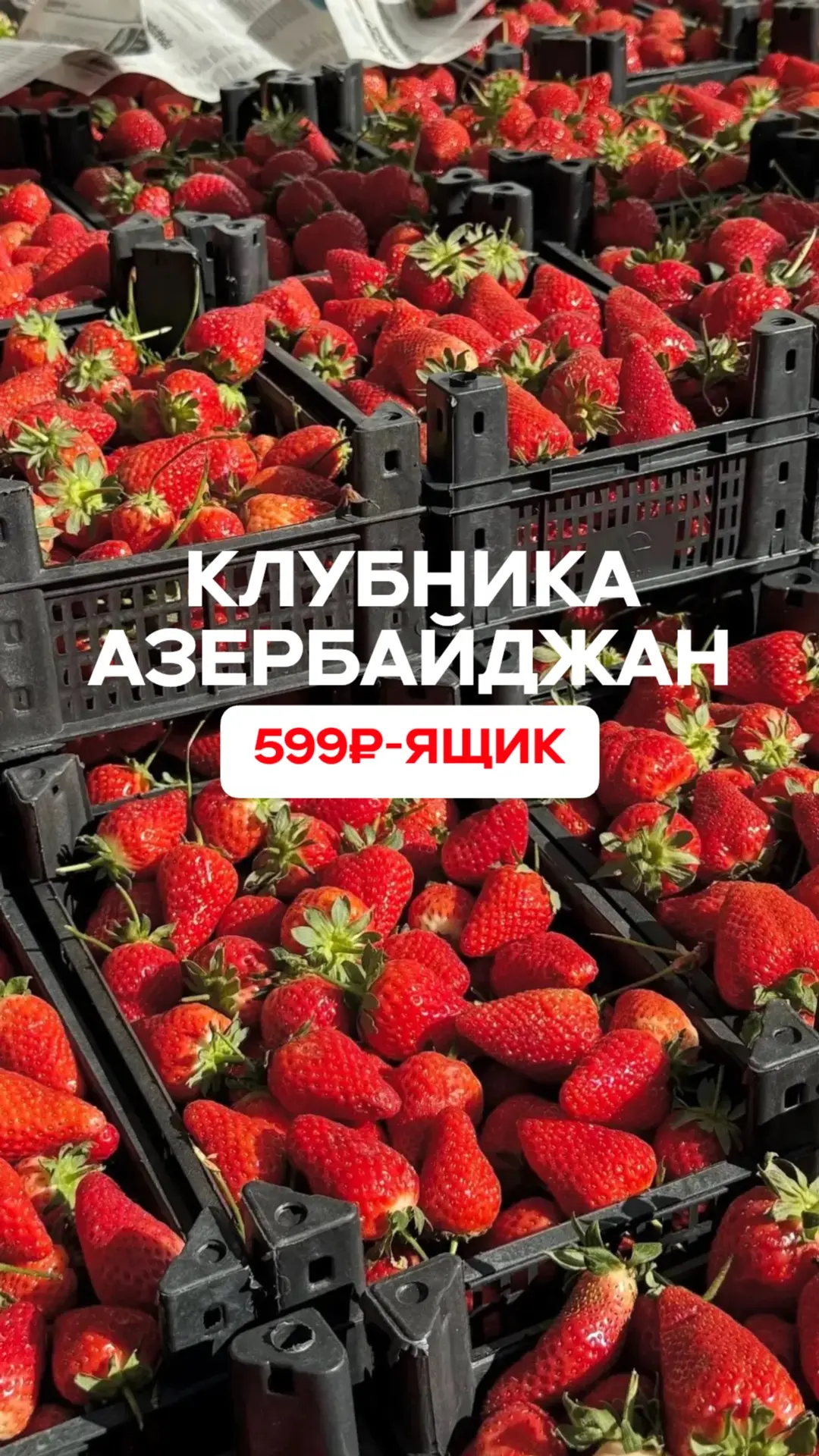 Доброе утро ☀️

Ждём всех сегодня за ягодой. Наш график — вот 📊

На месте, как обычно, можно попроб