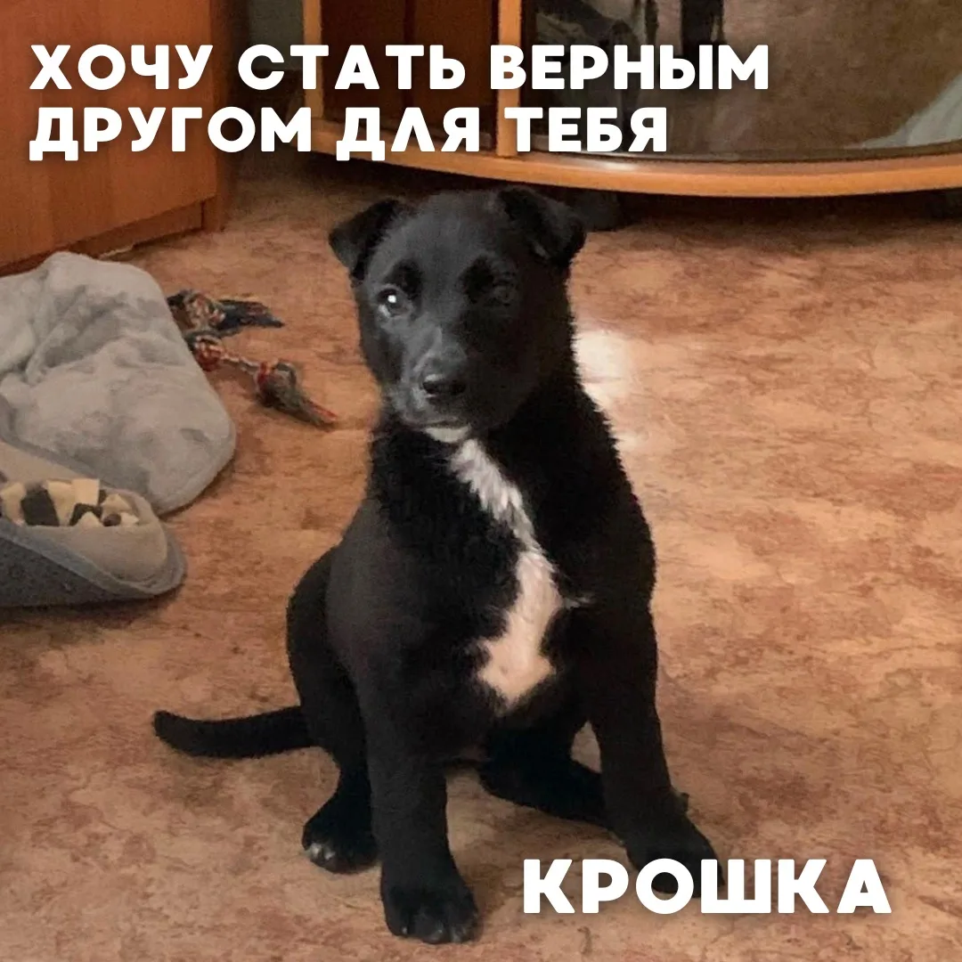 Сегодня в рубрике #Ищу_человека делимся информацией от наших подписчиков, которые взяли себе самых о