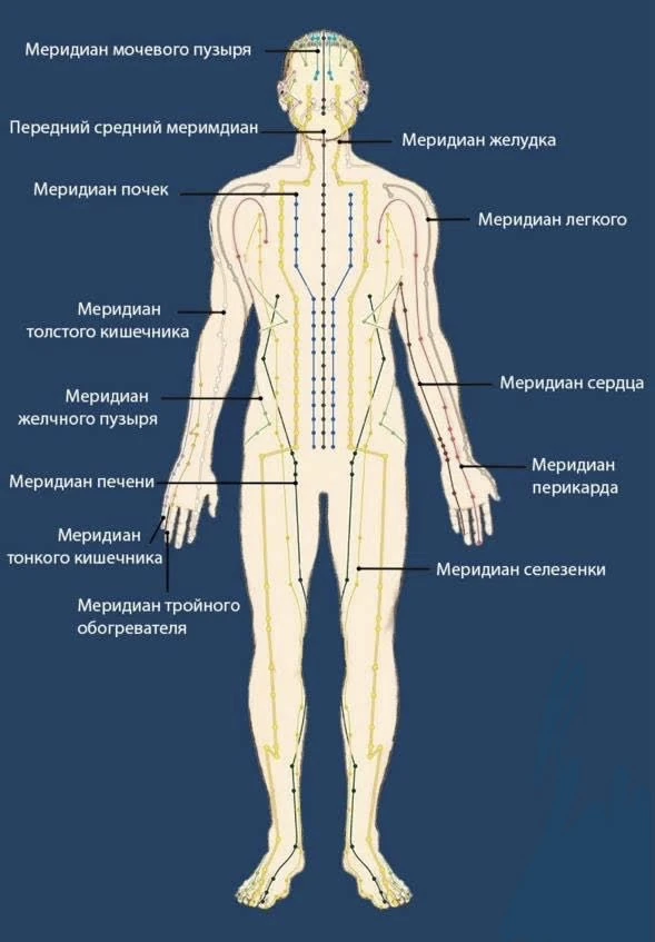 Что такое меридианы в китайской медицине?

Меридианы — это основа китайской традиционной медицины и 