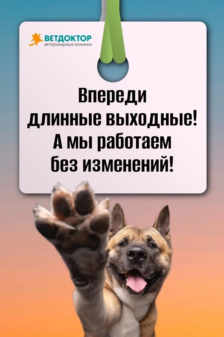 ✅наши адреса:
📍г.Екатеринбург 
Профсоюзная 55 - работает круглосуточно
Уральская 76 - работает круг