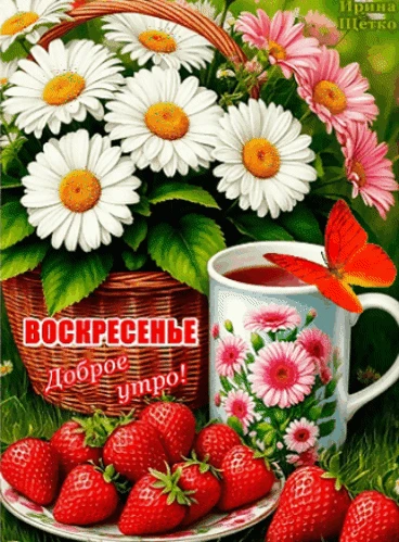 Доброе утро!🌞