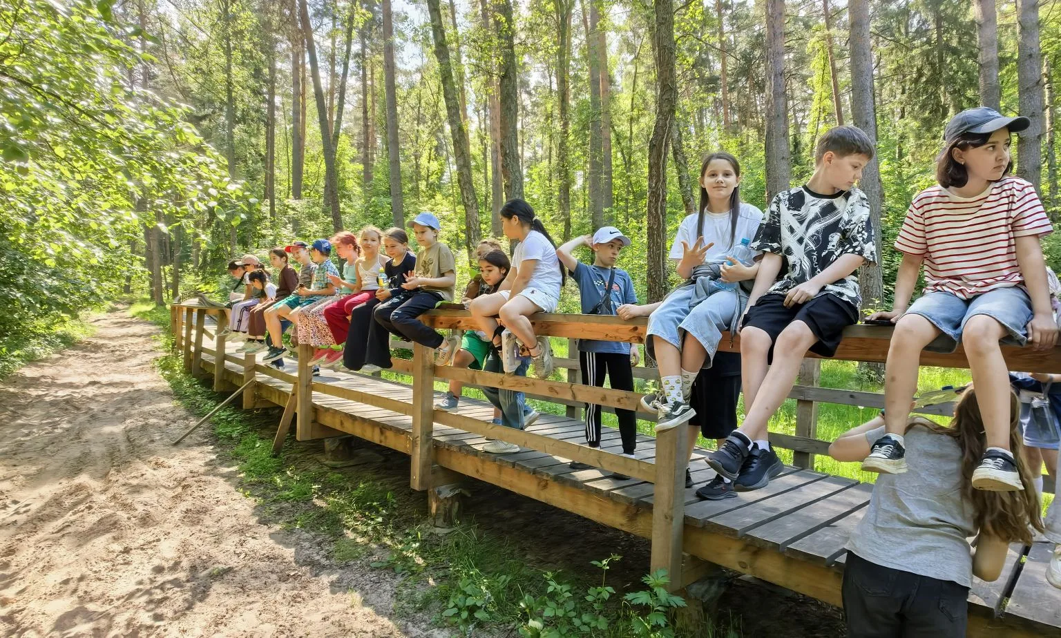 Дневник лагеря «Солнышко» 🌿
Сегодня — лесной день!

Ребята отправились на прогулку в лес: дышали св
