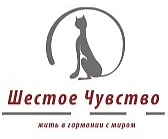Сегодня в нашем пришкольном лагере состоялось долгожданное и торжественное событие — открытие смены!