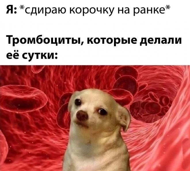 Приколы