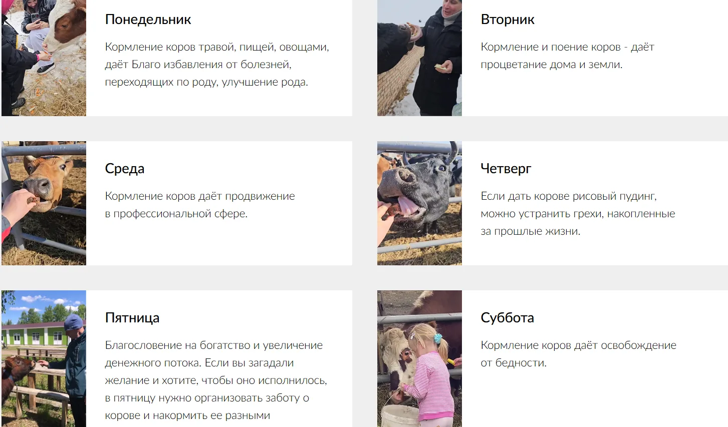 Очередной прекрасный пример голубого океана (если вы понимаете о чем мы). Благотворительный фонд + э