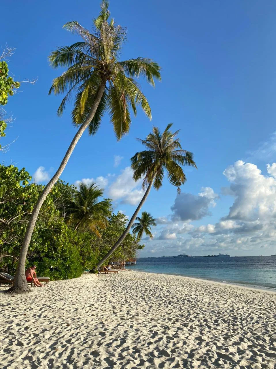 Тут вообще по цене как Турция 🙈

2 взрослых, прямой Аэрофлот 

17.06, 6н, Bandos Maldives (Ex. Band