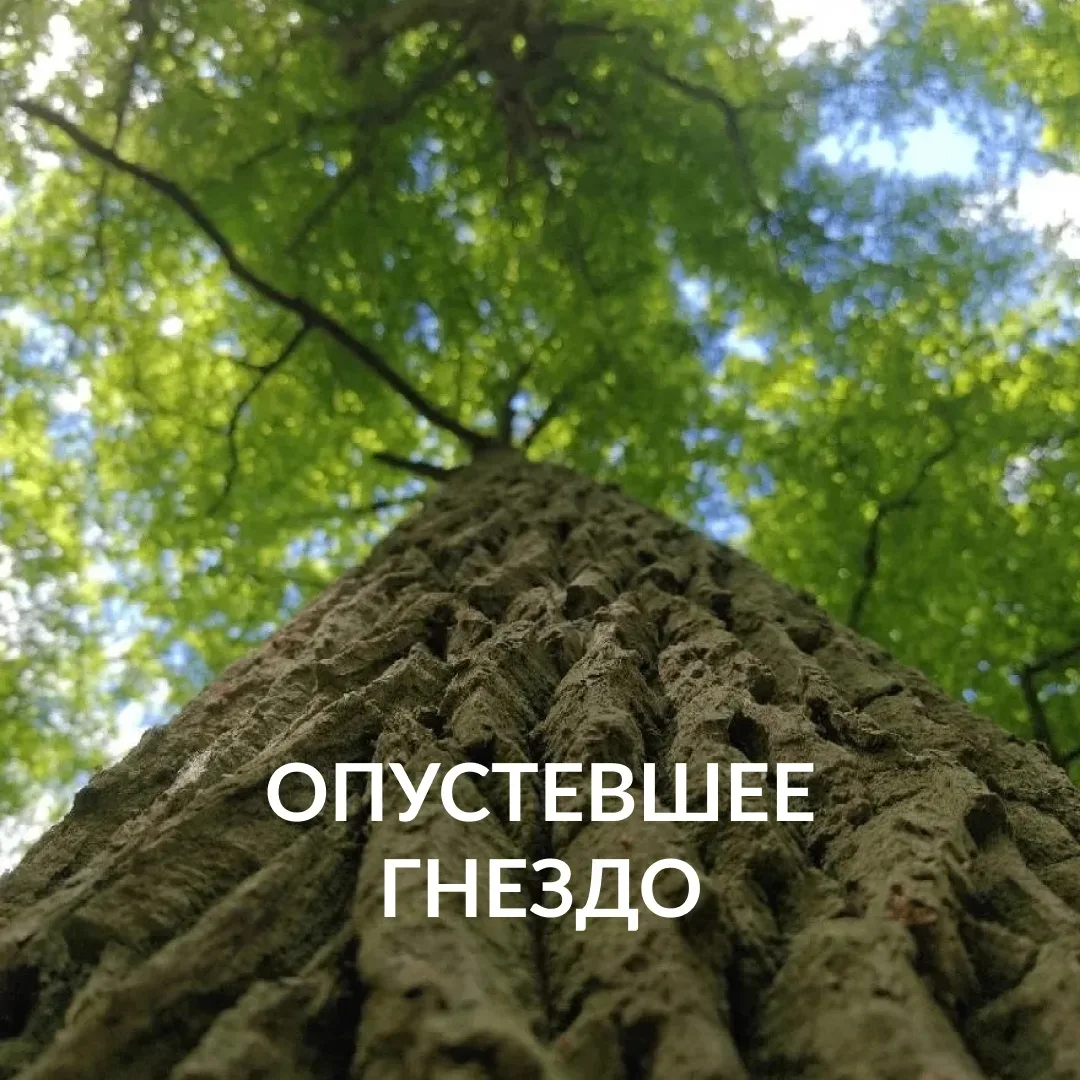 ❓Вопрос: 

Добрый день!
До окончания школы  осталось меньше месяца. А потом мой сын уедет поступать 