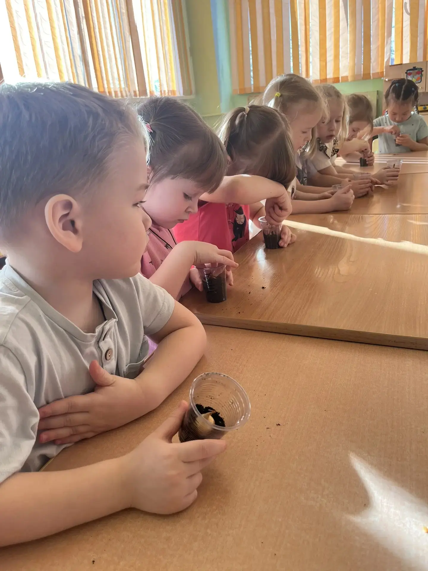 ## Огород на подоконнике: первые успехи!

Ребята из средней группы №11 с большим интересом и старани