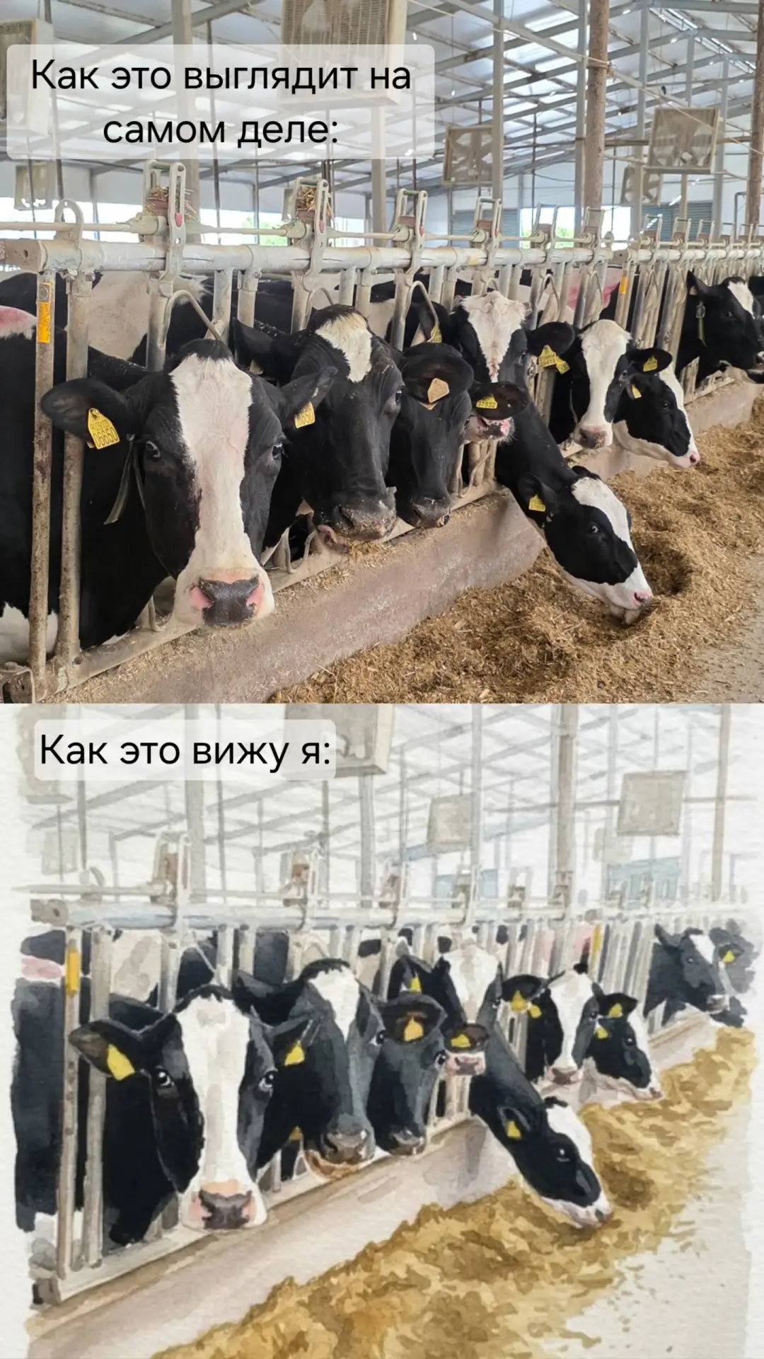 И никак иначе ❤️