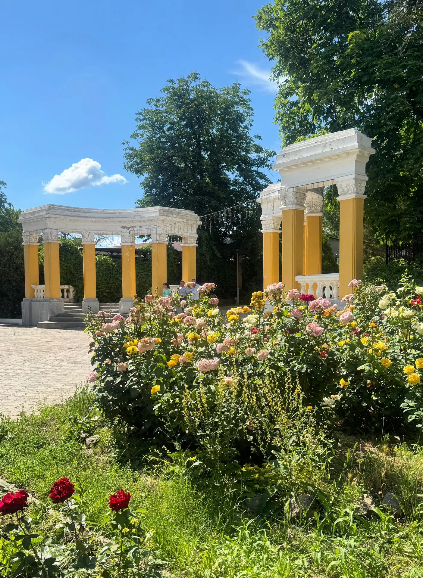 🤩Отдохнули? Улыбнулись, потяяяянулись…А теперь вперед, к трудовым победам 🙌🏼
💛Легкого и удачного