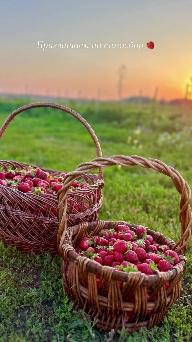 Приглашаем на самосбор клубники! 🧺

Ежедневно, без выходных !!! 🍓
Время входа: с 8:00 до 20:00 

�