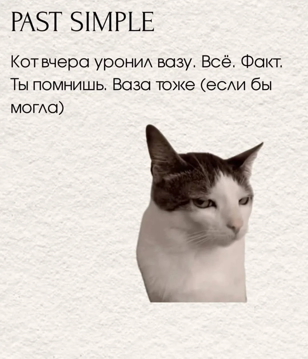 💡 Просто о сложном.

Многие родители думают, что несколько месяцев без английского - это не страшно