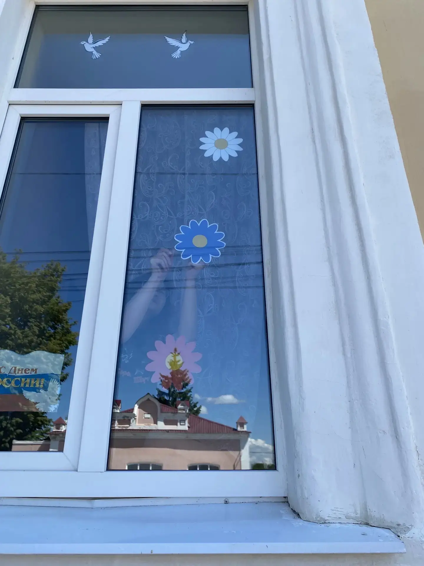 "Окна России" "#Родиной Горжусь"